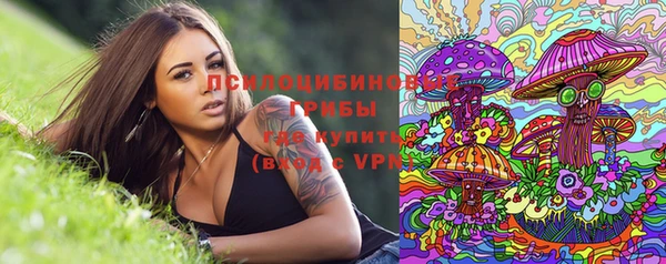 таблы Арсеньев