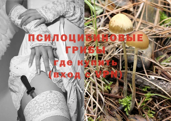 дживик Аркадак