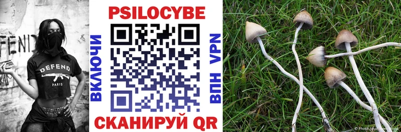 Псилоцибиновые грибы прущие грибы Голицыно